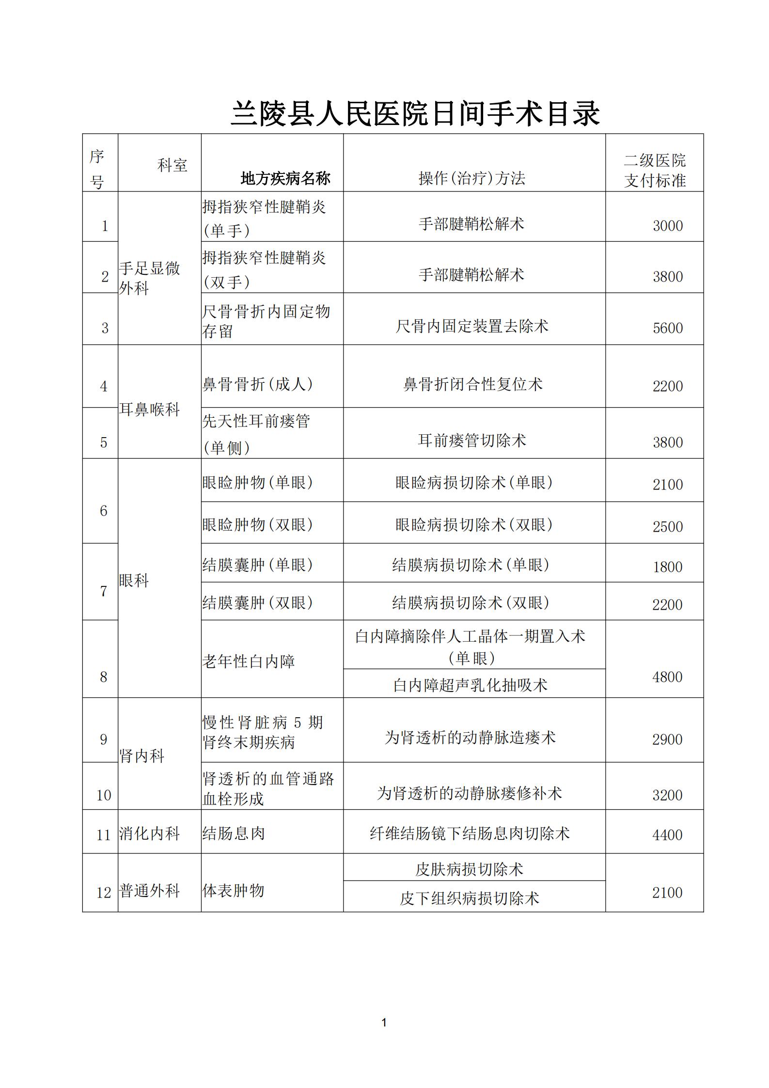 兰陵县人民医院日间手术工作管理实施方案(3)_00.jpg