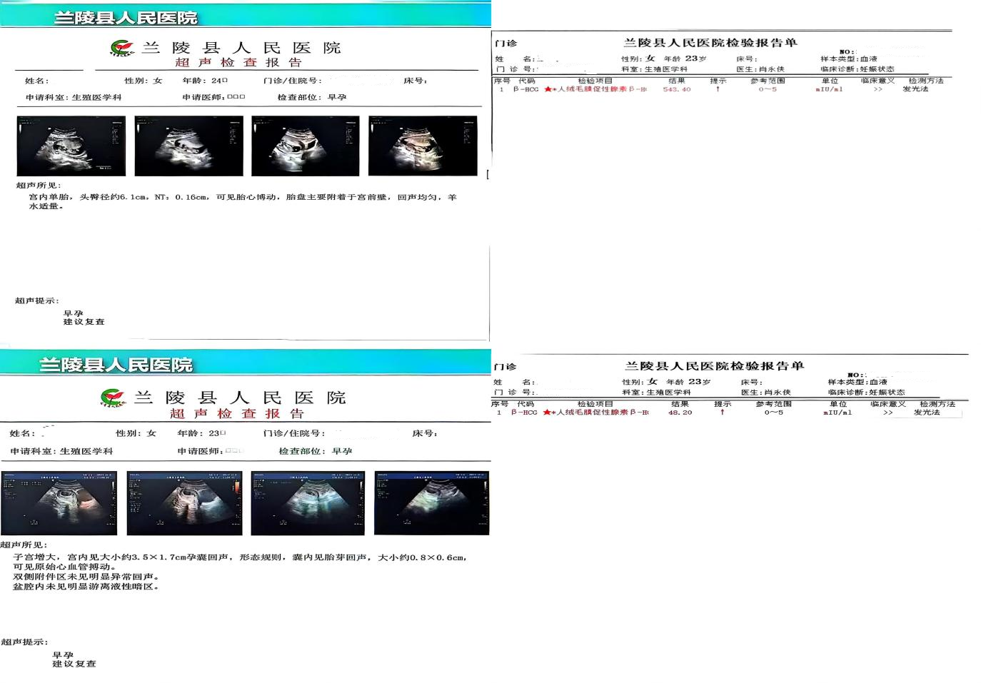 生殖医学2.png